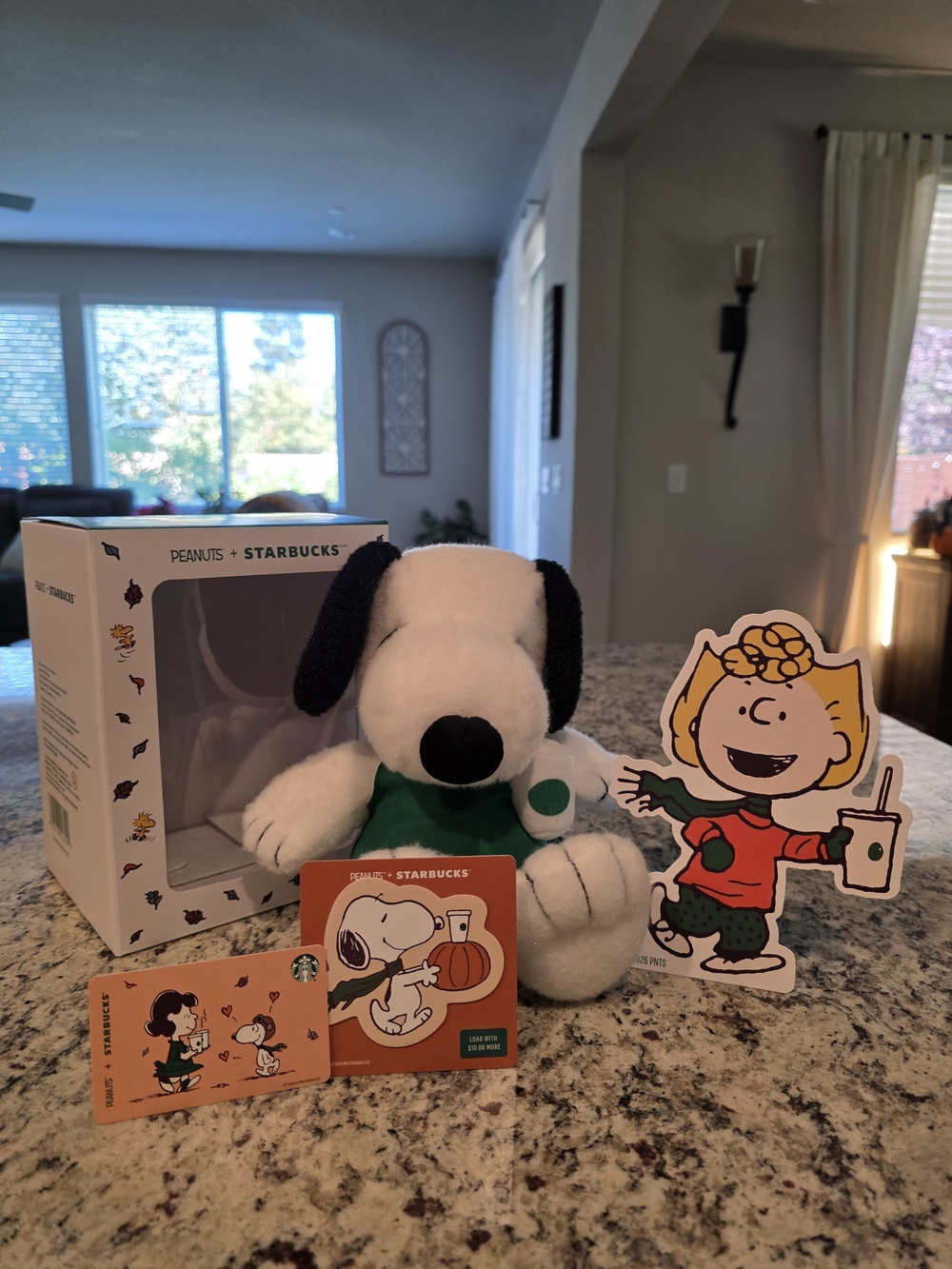 Starbucks X Snoopy Plush